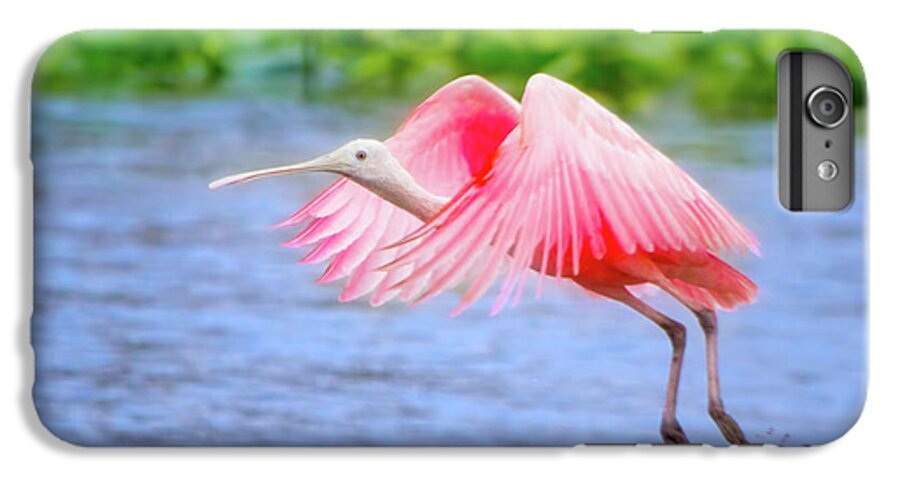 Roseate Spoonbill iPhone 6 Plus Case featuring the photograph Rise of the Spoonbill by Mark Andrew Thomas