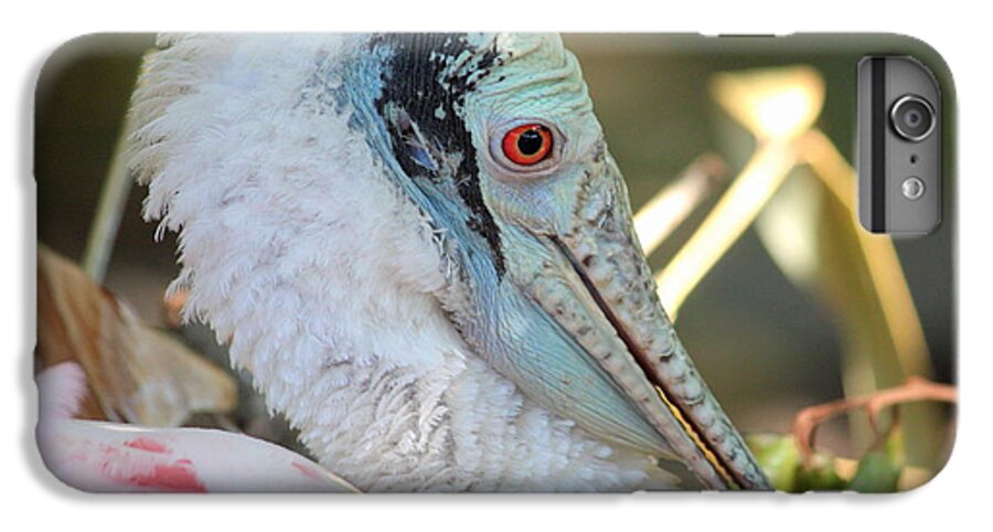Spoonbill iPhone 6 Plus Case featuring the photograph Roseate Spoonbill Profile by Carol Groenen
