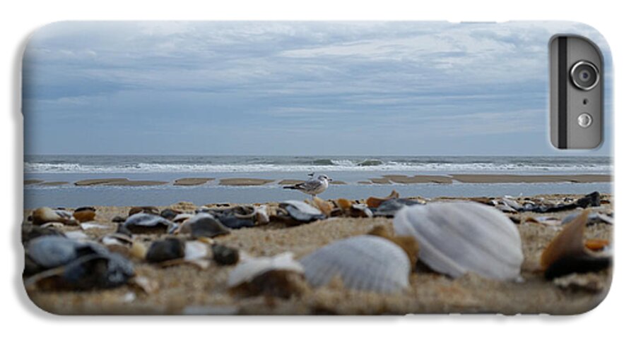 Seashells iPhone 6 Plus Case featuring the photograph Seashells Seagull Seashore by Robert Banach