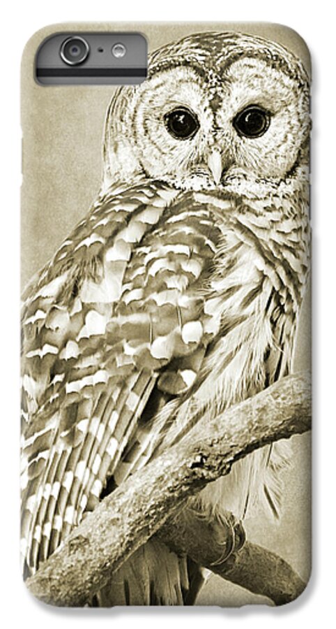 Owl iPhone 6 Plus Case featuring the photograph Sepia Owl by Christina Rollo