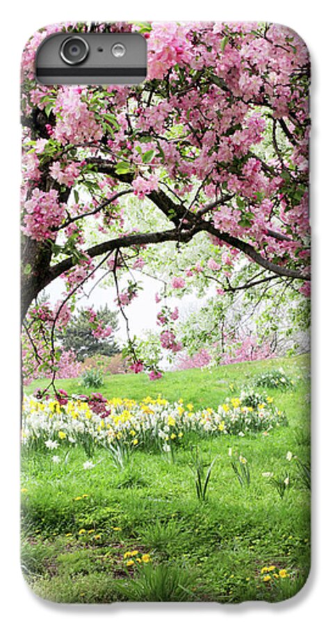 Spring iPhone 6 Plus Case featuring the photograph Spring Fever by Jessica Jenney