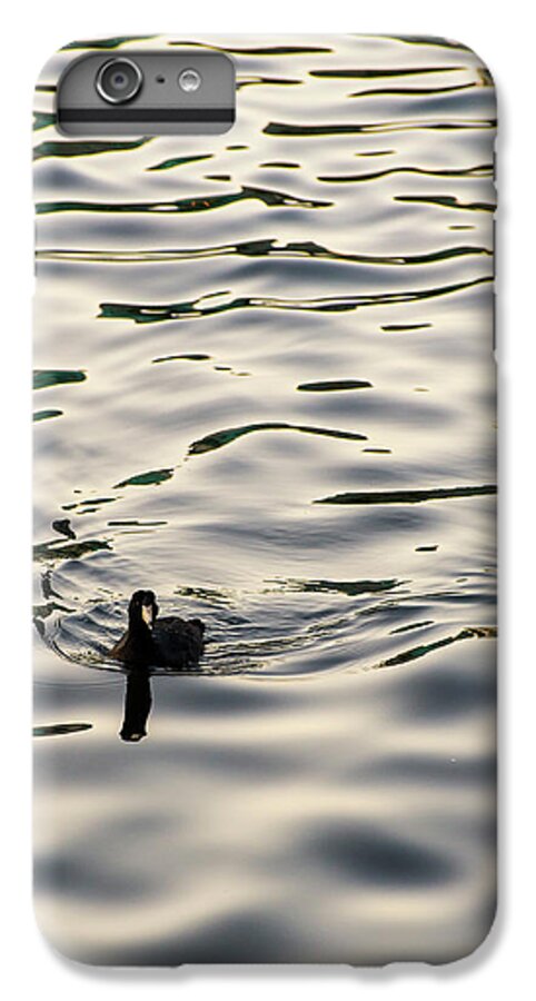 Coot iPhone 6 Plus Case featuring the photograph The Simple Life by Alex Lapidus