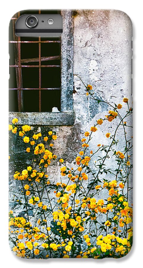 Abandoned iPhone 6 Plus Case featuring the photograph Yellow Flowers And Window by Silvia Ganora