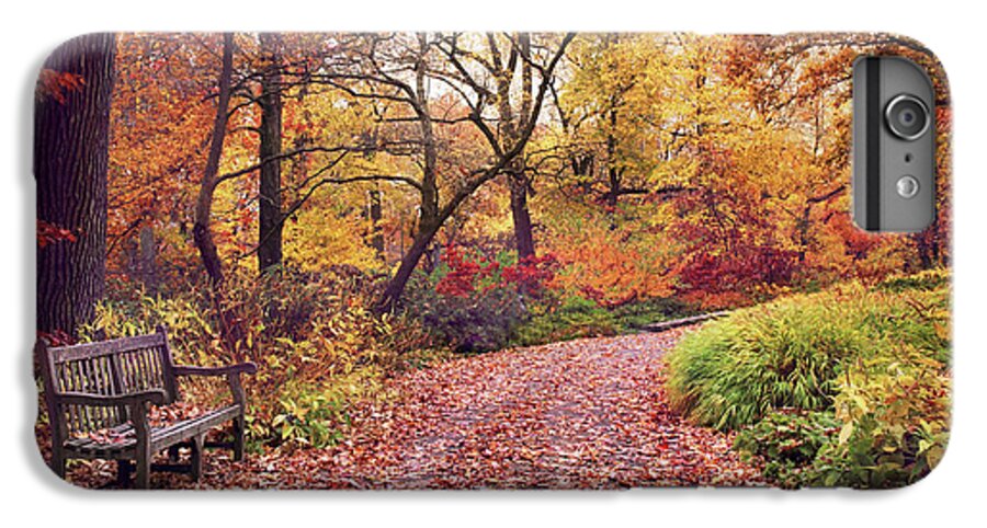 Autumn iPhone 6 Plus Case featuring the photograph Autumn Azalea Garden by Jessica Jenney