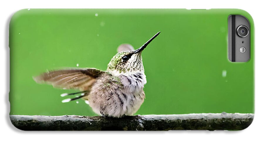 Hummingbird iPhone 6 Plus Case featuring the photograph Hummingbird In The Rain by Christina Rollo