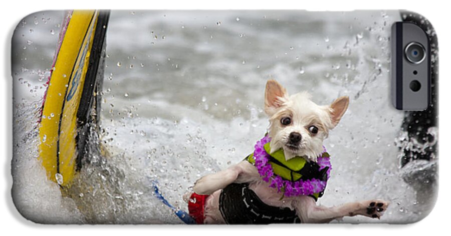 Dog iPhone 6s Case featuring the photograph Bobby Gorgeous Wipes Out by Nathan Rupert