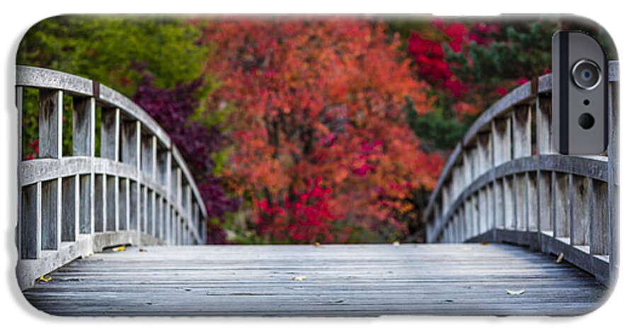 Japanese Garden iPhone 6s Case featuring the photograph Cypress Bridge by Sebastian Musial