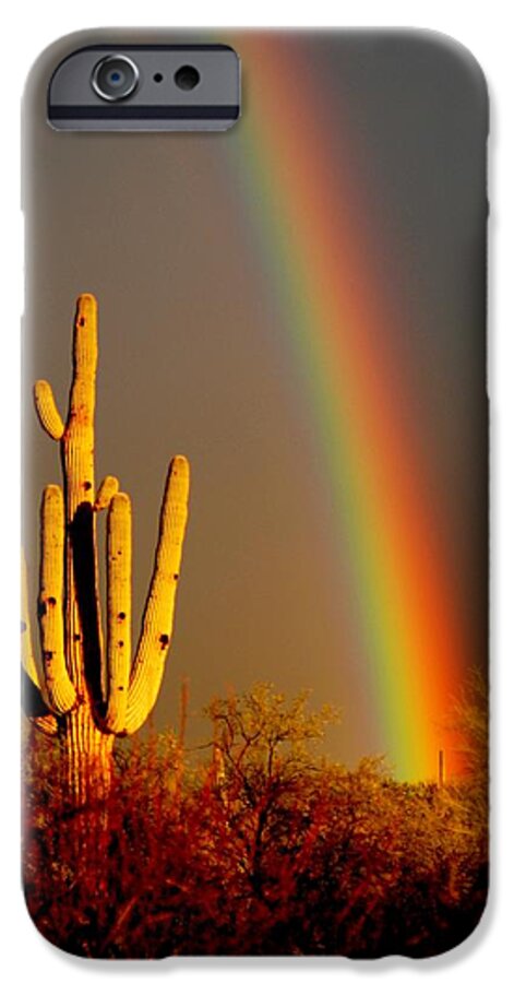 Saguaro iPhone 6s Case featuring the photograph Desert Rainbow by T C Brown