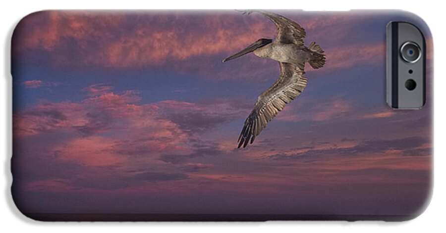 Pelican iPhone 6s Case featuring the photograph Flight over Enchanted beach by Robert Bascelli