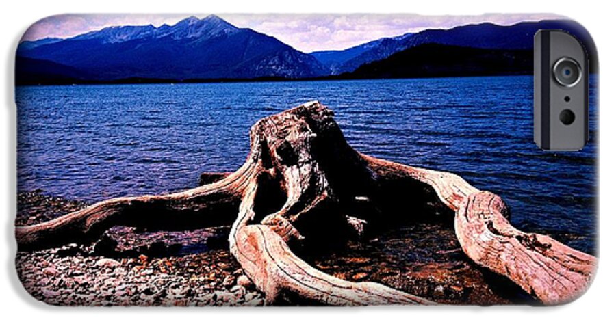 Driftwood iPhone 6s Case featuring the photograph King of the Driftwood by Garren Zanker