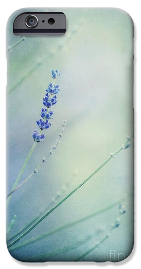 Lavender iPhone 6s Case featuring the photograph Laggard by Priska Wettstein