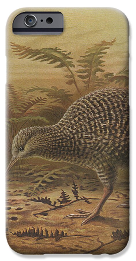 Little Spotted Kiwi iPhone 6s Case featuring the painting Little Spotted Kiwi by Dreyer Wildlife Print Collections 