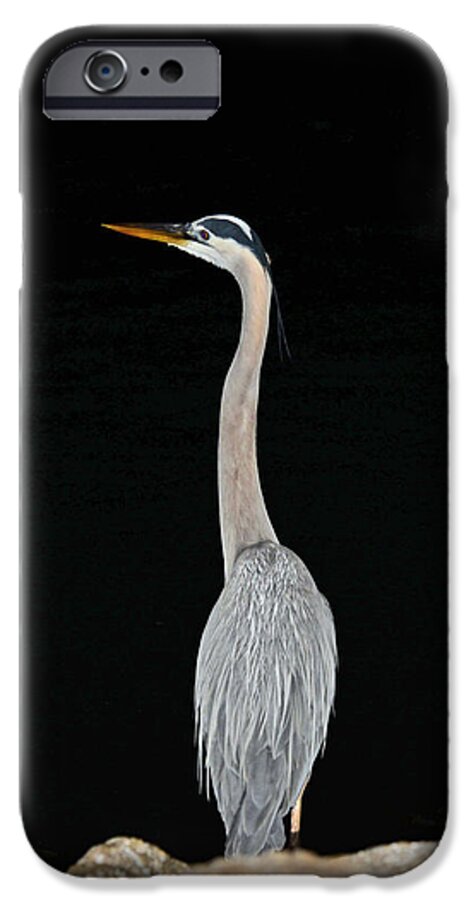 Blue Heron iPhone 6s Case featuring the photograph Night of the Blue Heron 3 by Anthony Baatz