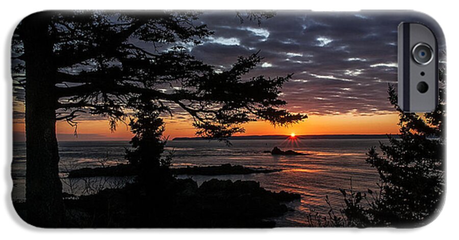Quoddy Head State Park iPhone 6s Case featuring the photograph Quoddy Sunrise by Marty Saccone