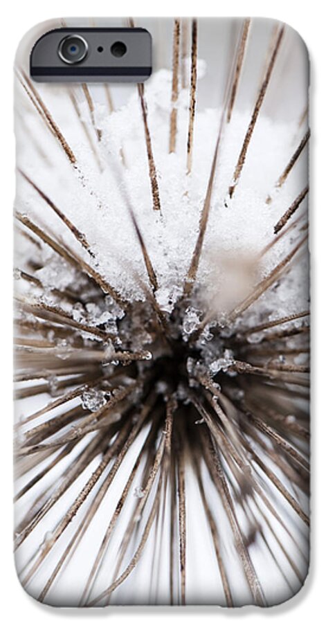 Spikes iPhone 6s Case featuring the photograph Spikes and Ice by Anne Gilbert
