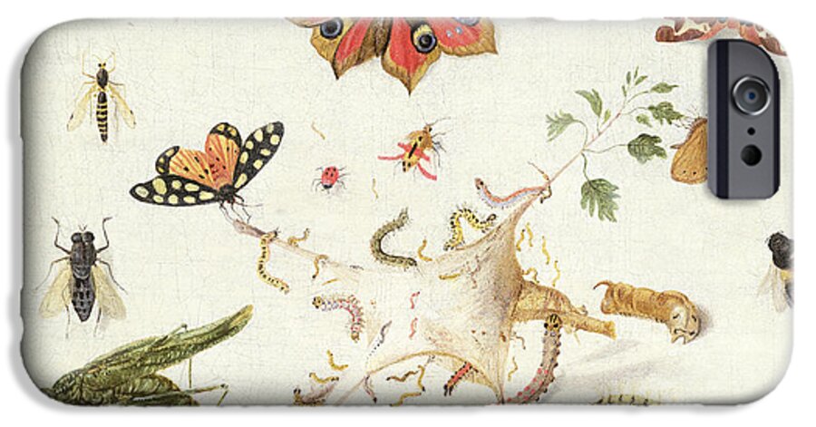 Insect iPhone 6s Case featuring the painting Study of Insects and Flowers by Ferdinand van Kessel