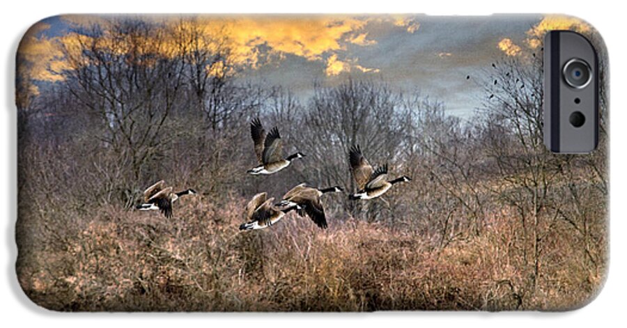 Sunset iPhone 6s Case featuring the photograph Sunset Geese by Christina Rollo
