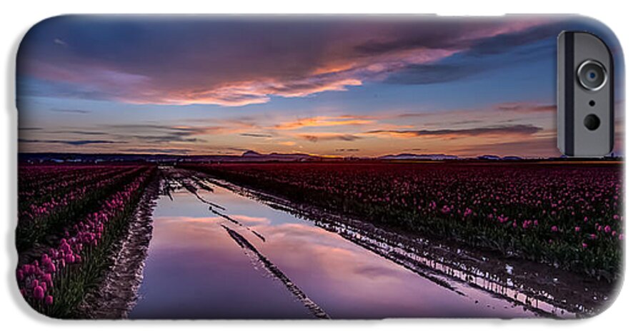 Tulip Fields iPhone 6s Case featuring the photograph Tulips and Purple Skies by Mike Reid