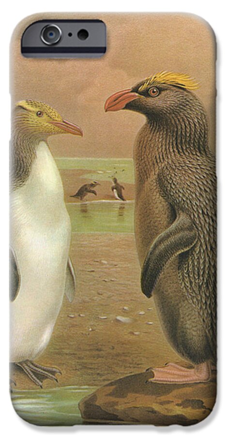 Yellow Eyed Penguin iPhone 6s Case featuring the painting Yellow Eyed Penguin and Snares Crested Penguin by Dreyer Wildlife Print Collections 