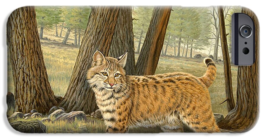 Wildlife iPhone 6s Case featuring the painting Young Bobcat  by Paul Krapf
