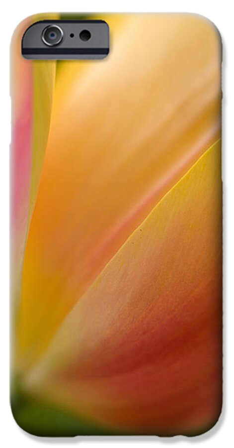 Tulip iPhone 6s Case featuring the photograph April Grace by Mike Reid