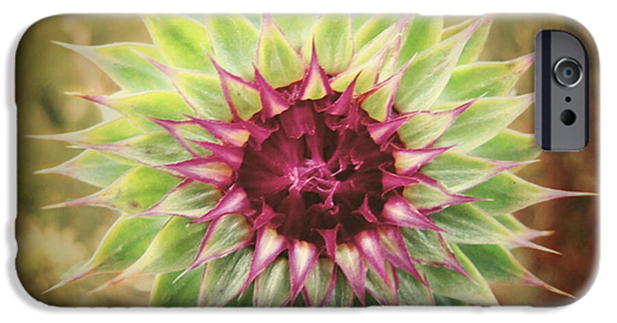 Thistle iPhone 6s Case featuring the photograph Soft As a Thistle by Amy Tyler