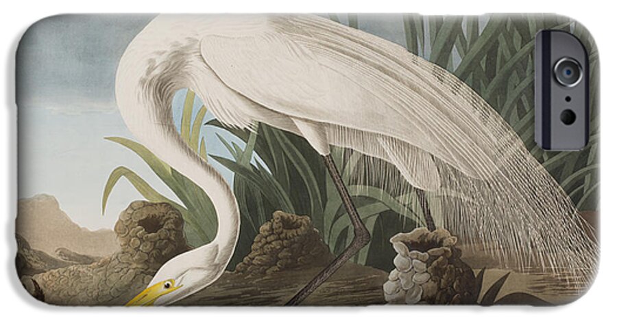 Great Egret iPhone 6s Case featuring the painting Great Egret by John James Audubon