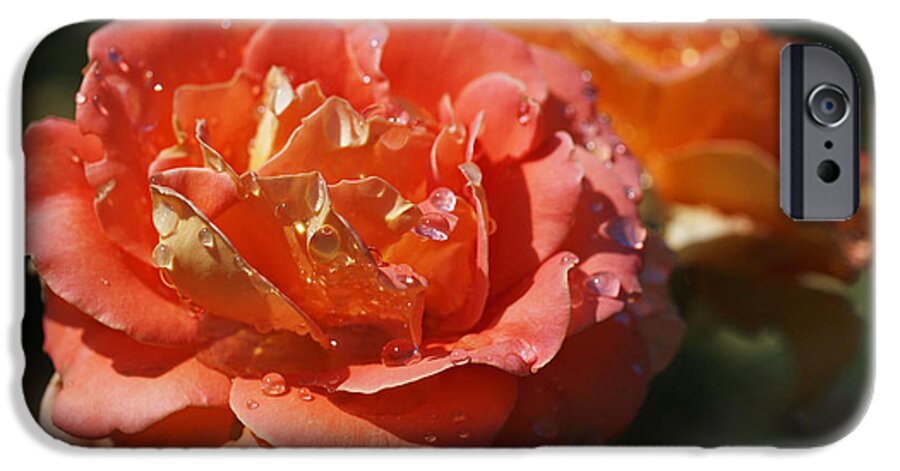 Rose iPhone 6s Case featuring the photograph Brass Band Roses by Rona Black