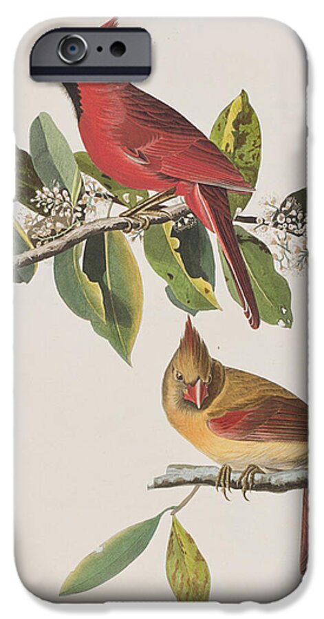 Cardinal Grosbeak iPhone 6s Case featuring the painting Cardinal Grosbeak by John James Audubon
