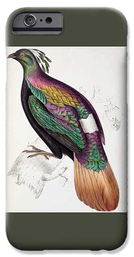 Gould iPhone 6s Case featuring the painting Himalayan Monal Pheasant by John Gould