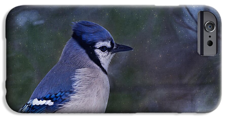 Blue iPhone 6s Case featuring the photograph Me Minus You - Blue by Evelina Kremsdorf