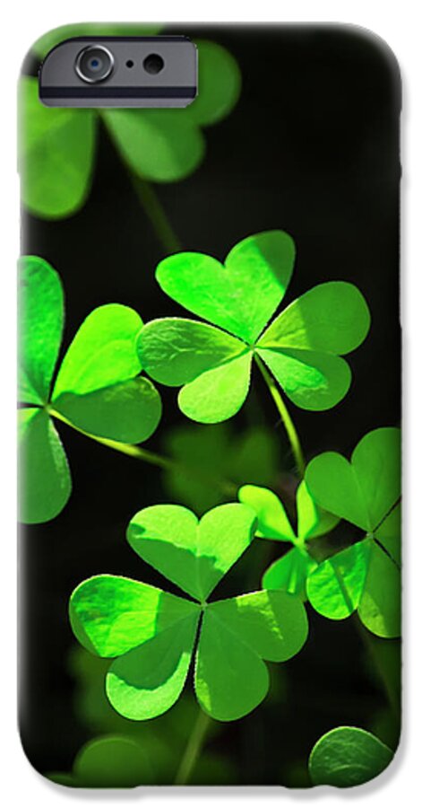 Clover iPhone 6s Case featuring the photograph Perfect Green Shamrock Clovers by Christina Rollo