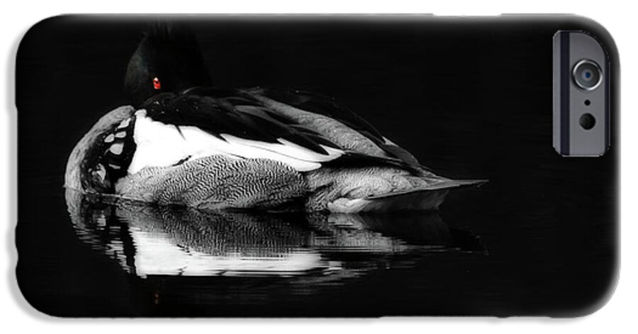 Loon iPhone 6s Case featuring the photograph Red Eye by Lori Deiter