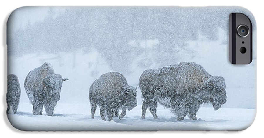 Bison iPhone 6s Case featuring the photograph Winter's Burden by Sandra Bronstein