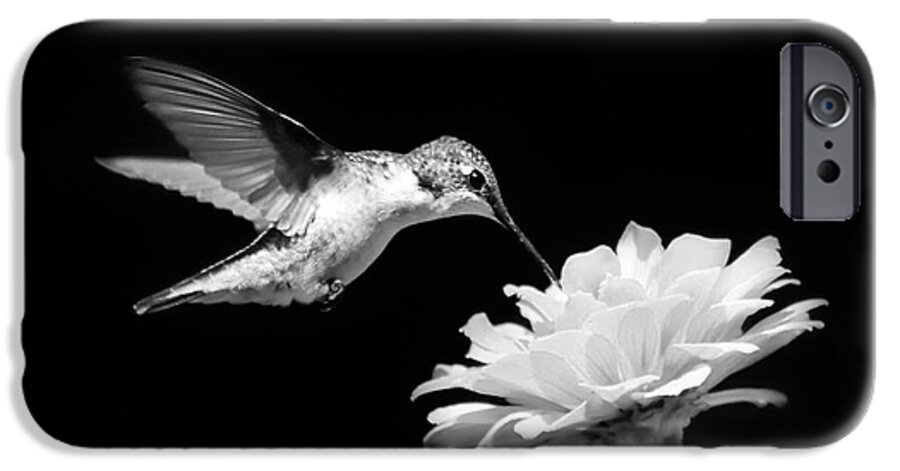 Hummingbird iPhone 6s Case featuring the photograph Black and White Hummingbird and Flower by Christina Rollo