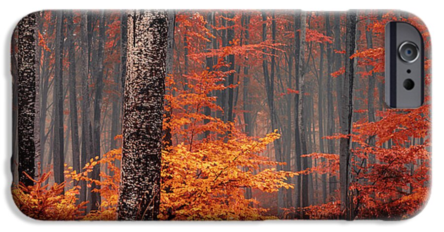 Mist iPhone 6s Case featuring the photograph Welcome To Orange Forest by Evgeni Dinev