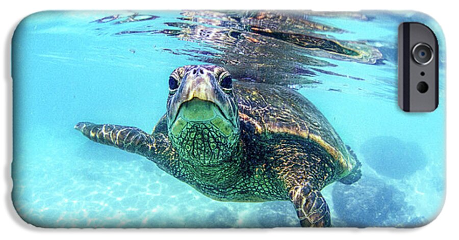Sea iPhone 6s Case featuring the photograph friendly Hawaiian sea turtle by Sean Davey