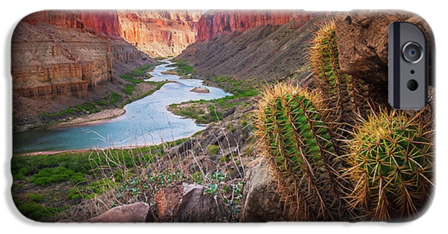 America iPhone 6s Case featuring the photograph Nankoweap Cactus by Inge Johnsson