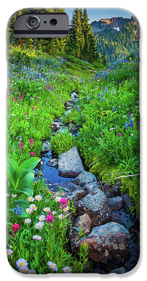 America iPhone 6s Case featuring the photograph Summer Creek by Inge Johnsson