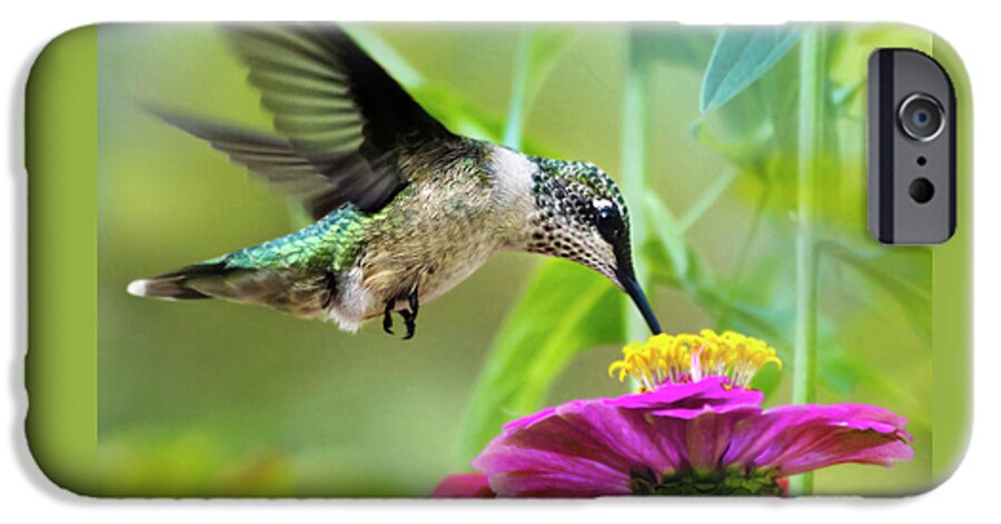 Bird iPhone 6s Case featuring the photograph Sweet Success Hummingbird Square by Christina Rollo