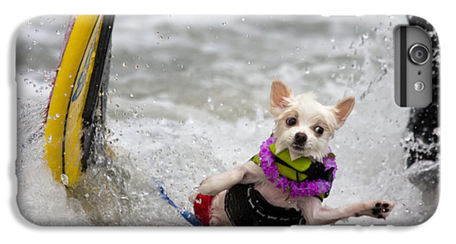 Dog iPhone 6s Plus Case featuring the photograph Bobby Gorgeous Wipes Out by Nathan Rupert