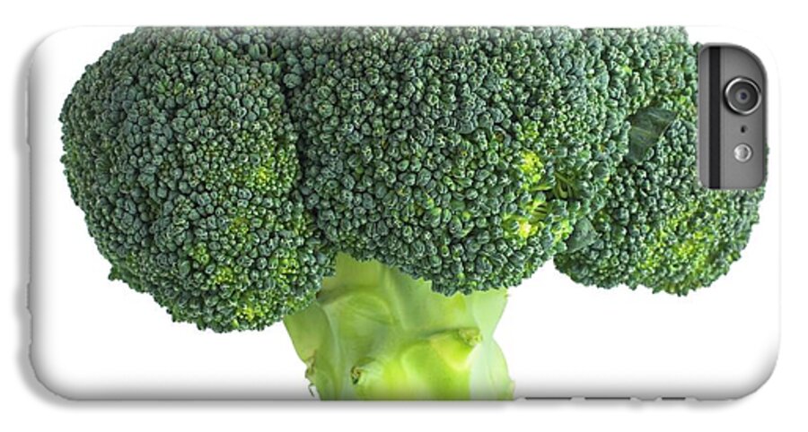 Close Up iPhone 6s Plus Case featuring the photograph Broccoli by Science Photo Library