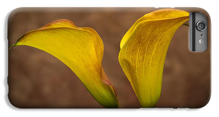Green iPhone 6s Plus Case featuring the photograph Calla Lilies by Sebastian Musial