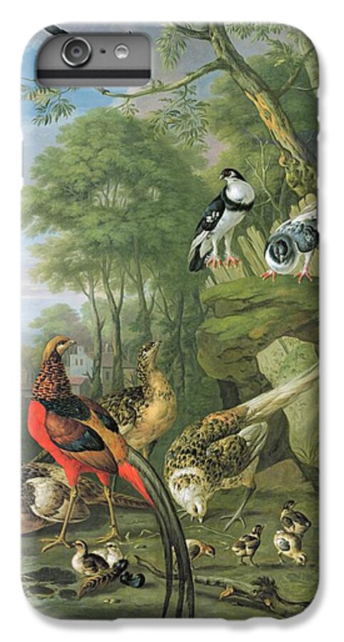 Ornithology iPhone 6s Plus Case featuring the painting Cock pheasant hen pheasant and chicks and other birds in a classical landscape by Pieter Casteels