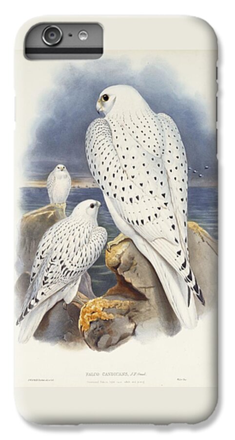 Greenland Falcon iPhone 6s Plus Case featuring the painting Greenland Falcon by John Gould