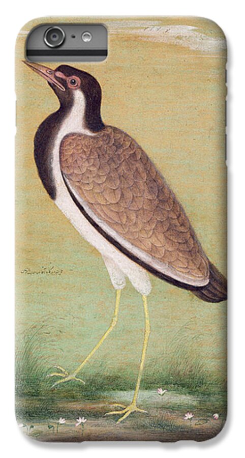 Lapwing iPhone 6s Plus Case featuring the painting Indian lapwing by Mansur