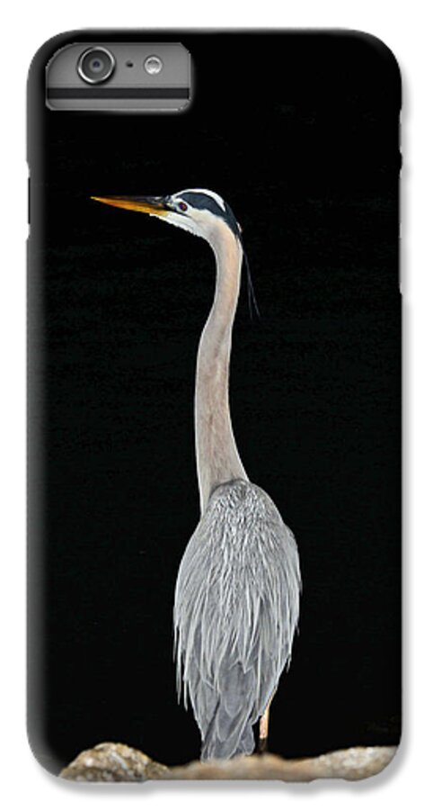 Blue Heron iPhone 6s Plus Case featuring the photograph Night of the Blue Heron 3 by Anthony Baatz