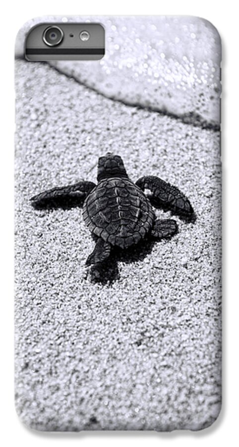 #faatoppicks iPhone 6s Plus Case featuring the photograph Sea Turtle by Sebastian Musial
