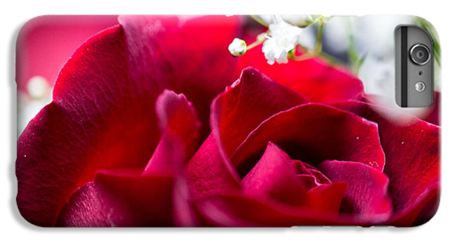 Rose iPhone 6s Plus Case featuring the photograph Valentine by Alex Lapidus