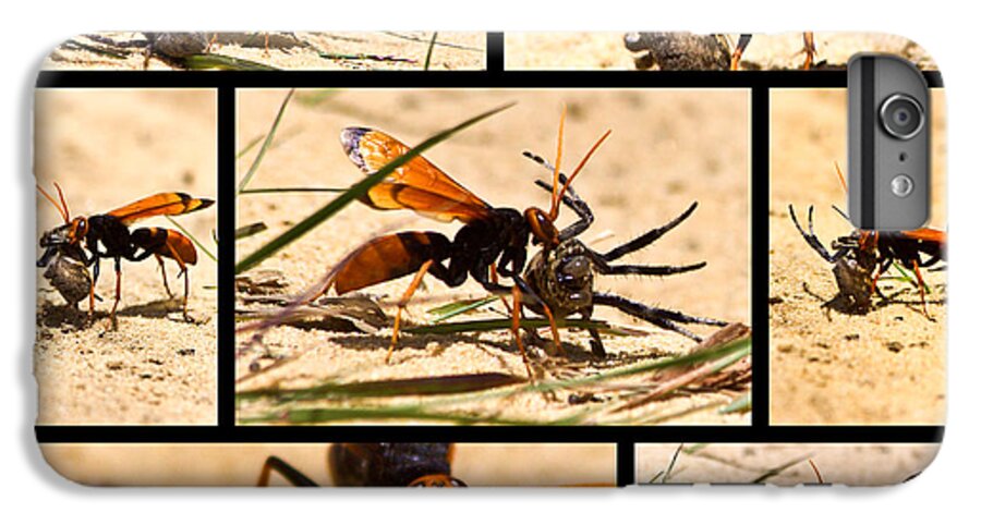 Wasp iPhone 6s Plus Case featuring the photograph Wasp and his kill by Miroslava Jurcik